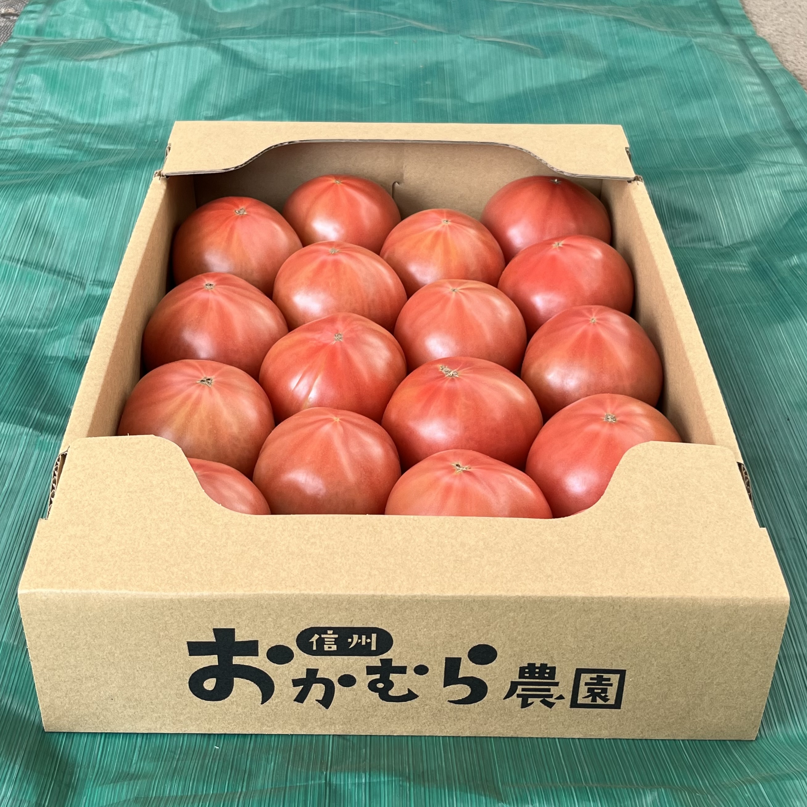信州おかむら農園トマト４キロコース